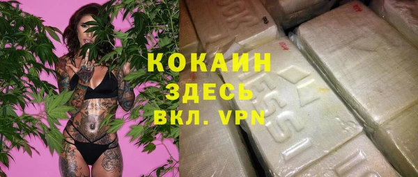 бошки Алзамай