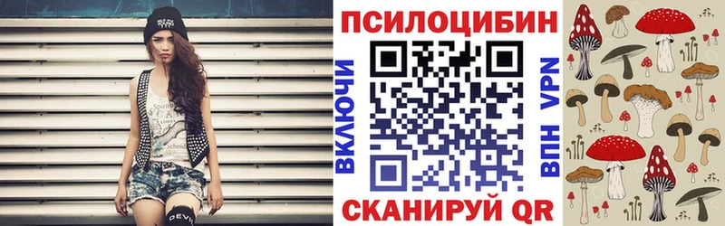 Псилоцибиновые грибы мицелий цены Балабаново