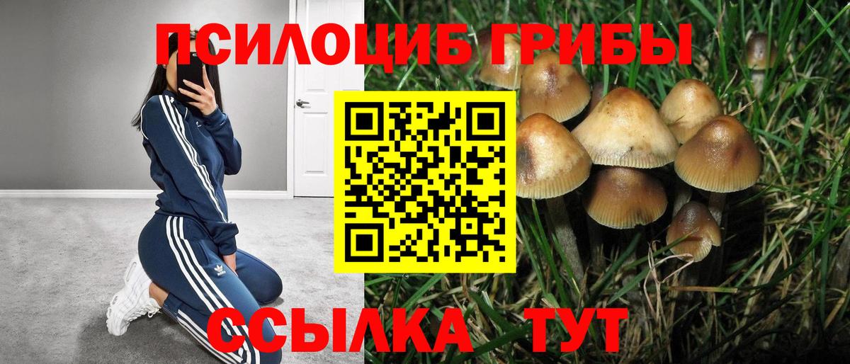 Балабаново  Галлюциногенные грибы мухоморы  купить наркоту  Вход с VPN  Галлюциногенные грибы мухоморы 