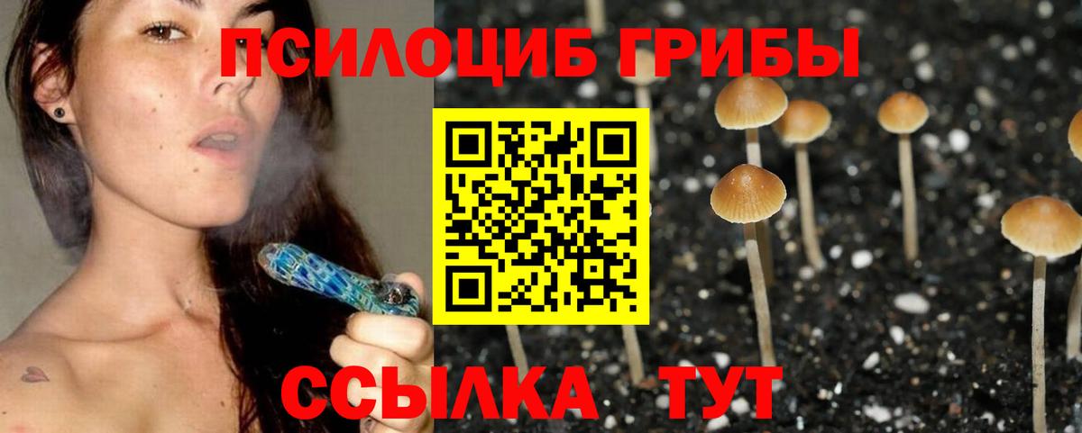 Галлюциногенные грибы Magic Shrooms Балабаново